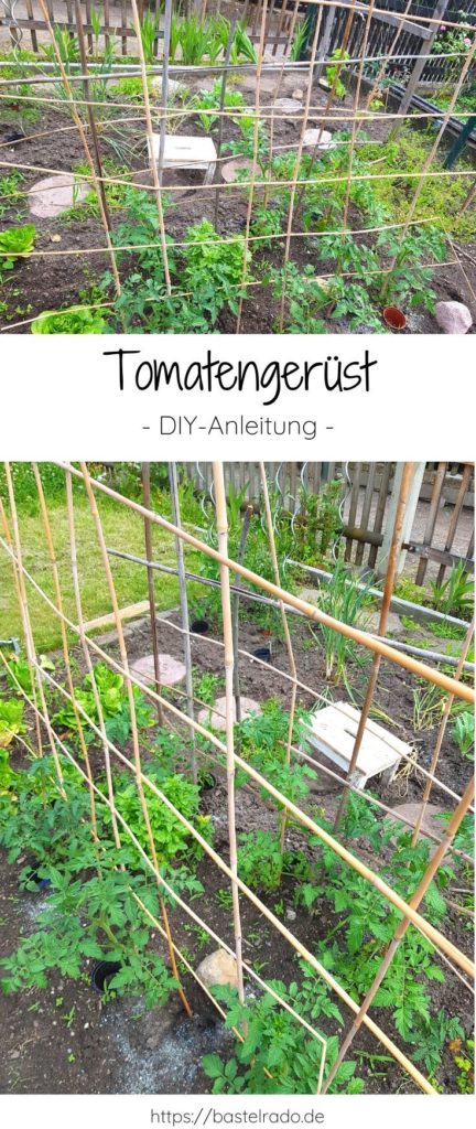 Hier erfährst Du wie Du ein Tomatengerüst ganz einfach selber bauen kannst.