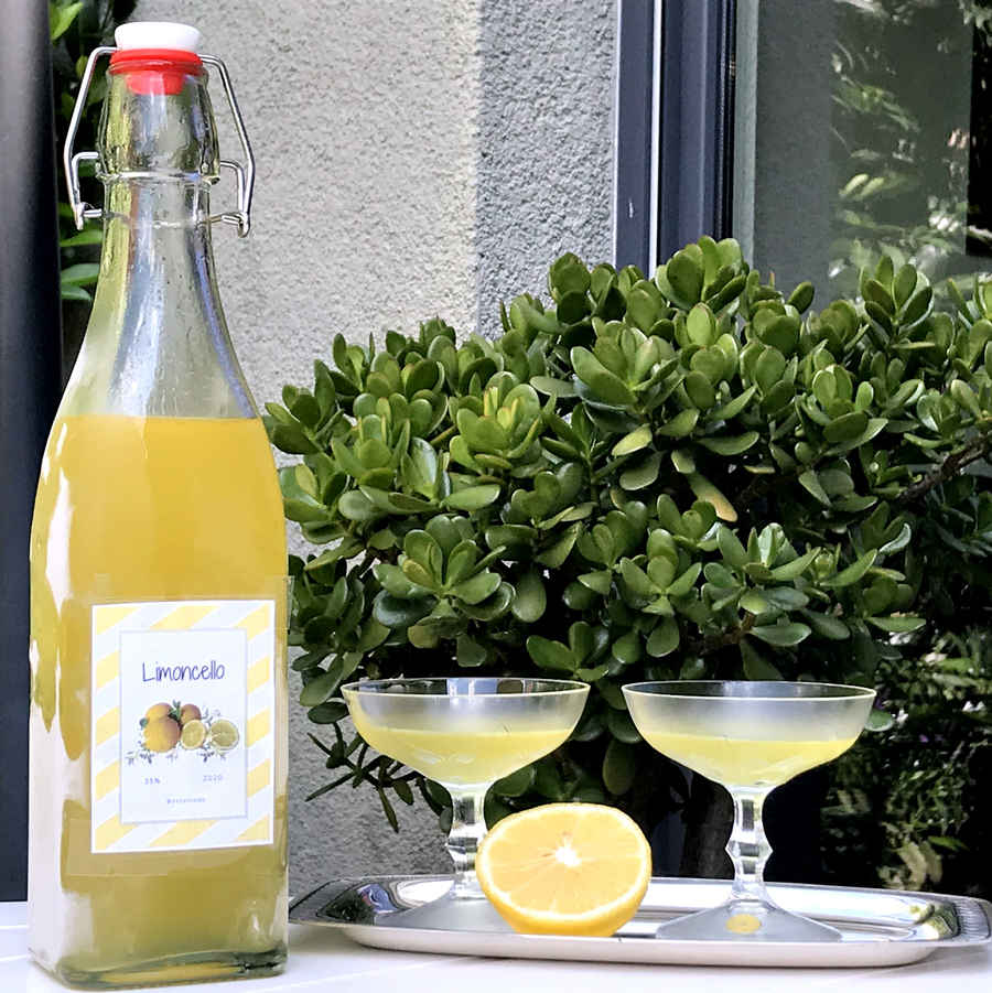 Probiere selbst gemachten Limoncello. Sehr lecker!