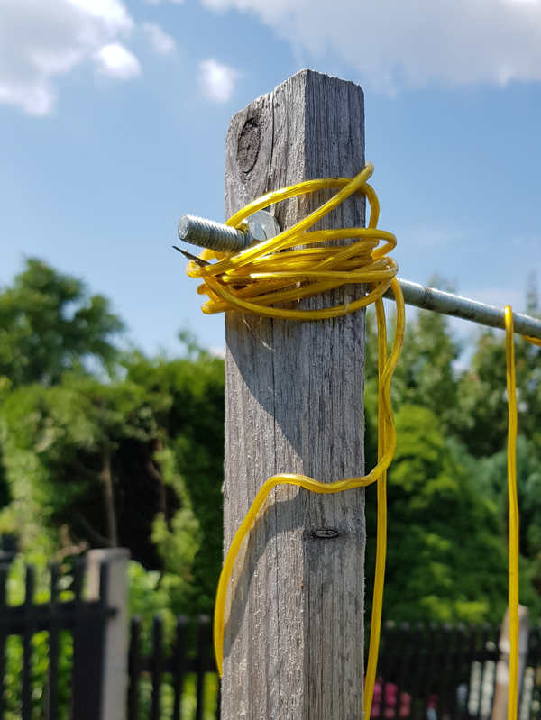 Für dein Gurkengerüst nimmst du ein Gewindestangen und befestigst sie mit Unterlegscheiben und Muttern.